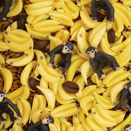 Petit Boum, Butelka obserwacyjna - MAŁPKA