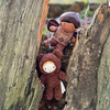Laleczka w pudełku - Forrest, Wróżka Zębuszka, ThreadBear Design